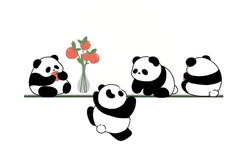 WhatsApp Image 2026-02-11 at 2.23.23 PM.webp