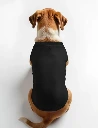 Dog T-Shirts